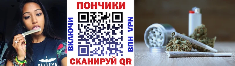 Шишки марихуана семена  гидра tor  Братск 